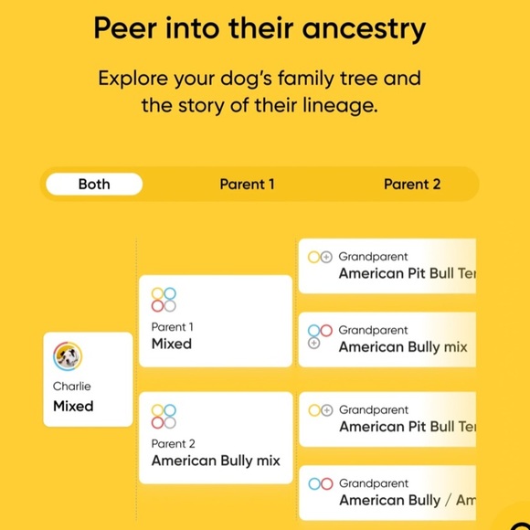 Embark Dog DNA Test Kit – Breed & Health, New in Box - Picture 3 of 6